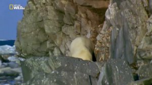 Очень красивая природа Аляски 🧊🌬️