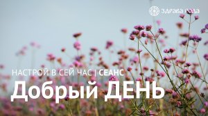 Добрый день. Оздоровительный сеанс Здравы РОДА.