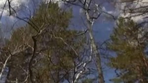 Послание Хамбо Ламы Итигэлова