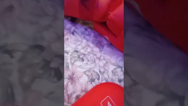 обзор на футы Arawaza очень хорошего качества смотреть онлайн