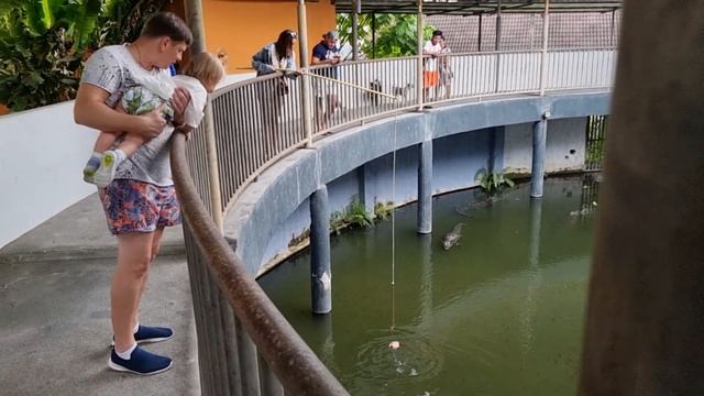 Заброшенная крокодиловая ферма Пхукет. смотреть онлайн