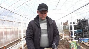 Виноград .Почва грунт для  вегетирующих саженцев  винограда.