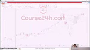 Alson Chew - Price Action Manipulation Course Level 2 - Piranha Profits