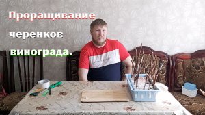 Проращивание черенков винограда на воде