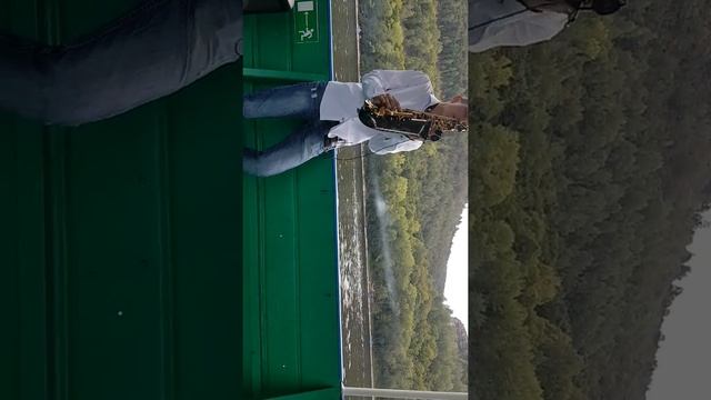 Белый лебедь на саксофоне смотреть онлайн