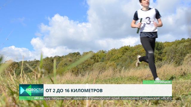 спортсмены пробежали эстафету смотреть онлайн