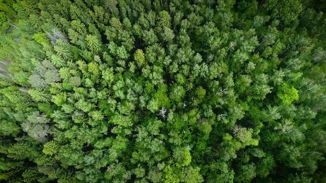 Инновации в дорожном строительстве смотреть онлайн