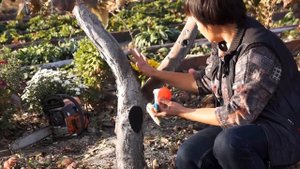 ЯБЛОНЯ | ОБРЕЗКА ОСЕНЬЮ | ОПРЫСКИВАНИЕ | УХОД