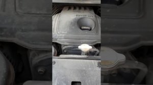 Grand Starex. Шум двигателя при утреннем запуске