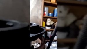 Опору амортизатора с икстрэйла ставим на ниссан тииду