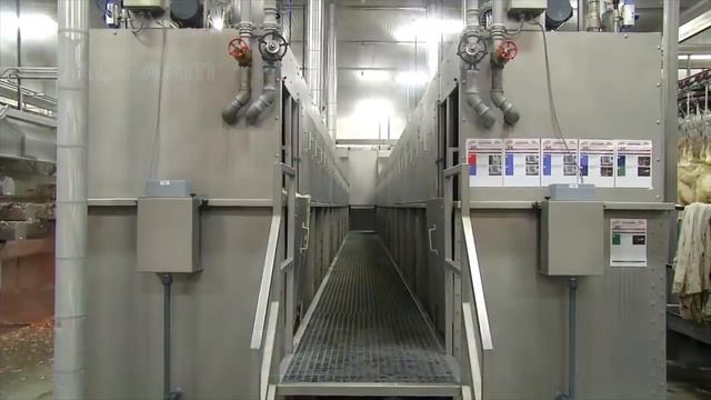 Невероятная Птицефабрика Технология Производит миллион индеек ? - новый завод по переработке индеек смотреть онлайн