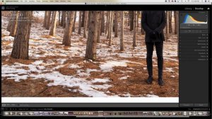 Canon RF 15-35mm f/2.8L IS USM Lens Review by a Wedding Photographer Bokeh, Sharpness, Distortion