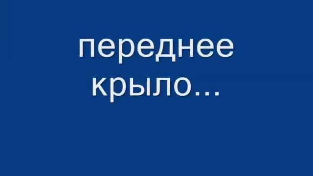 Удаление вмятин без покраски в вологде 3 смотреть онлайн