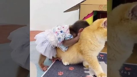 дружба❤?
