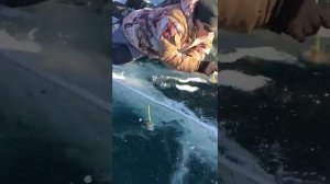 Новый год на Байкале ?