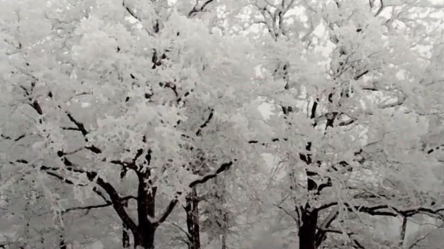 Песни и музыка наших дворов.Белая песня
