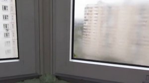 Голуби на балконе. Остекление в "Оконном континенте". Двушка в доме П-3М