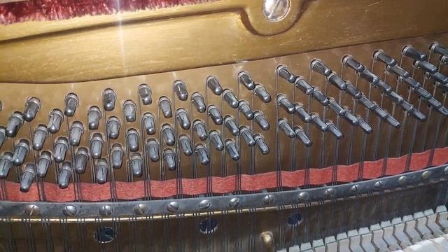 Пианино G. Neumann | Новые заботы - новые проблемы. смотреть онлайн