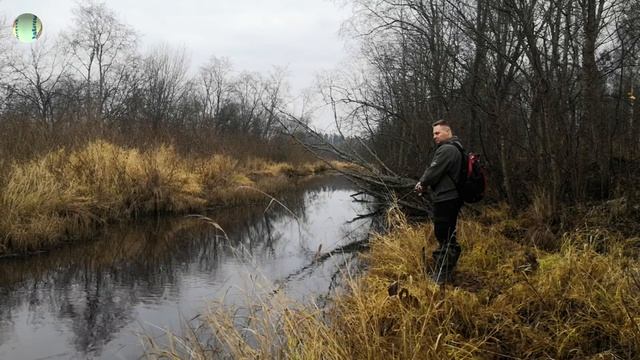 Река Суйда. Куда подевалась вся рыба? смотреть онлайн