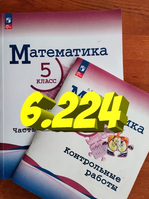 математика 5 класс номер 6.224