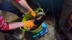 Прирост Форели за 5 месяцев результаты ошеломляют.