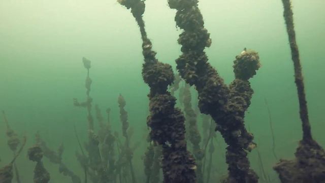 Доломитовый Карьер, Щелково смотреть онлайн