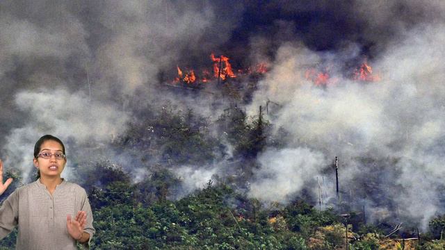 Amazon Rainforest: Present & Future: From Rainforest to Savannah – Tipping Point (Environment) смотреть онлайн