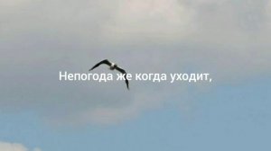"Подобно ласточке", авторский стих.