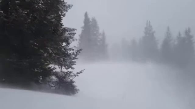 Звуки хуртовини. Blizzard. Потріскування каміна #relax #шумметели #шумвьюги