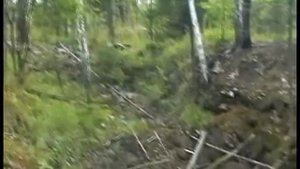 По дороге. Минерал Урала