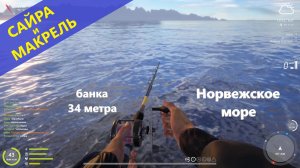 Русская рыбалка 4 - Норвежское море - Сайра и макрель
