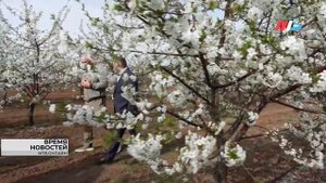 Крупнейший селекционный центр в сфере садоводства создадут в Волгоградской области