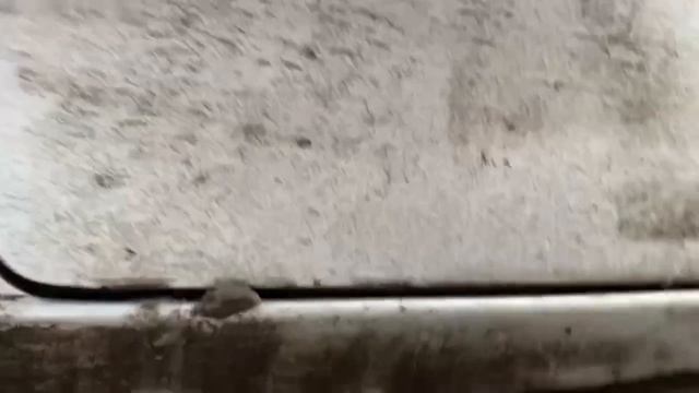 Перекуп-Коллекционер Renault Sandero! Ищем Малолитражку На Продажу! смотреть онлайн