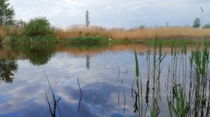 Садим картошку на МТЗ 06. Едем на рыбалку на Днепр мт 9. Влог.