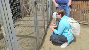 Многодетные в зоопарке  июнь 2024 г. #контактныйзоопарк #челябинскийзоопарк