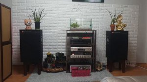 Như Đã Dấu Yêu -  Thái Châu - jbl 4312D