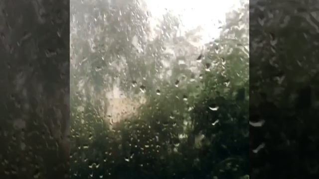 белые обои чёрная посуда смотреть онлайн