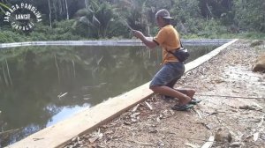 Lunga mancing nilem babon||edisi umpan belalang||japala adventure