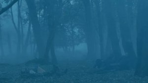 Песня викинга уходящего в Вальхаллу