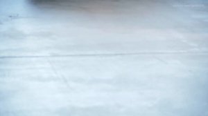 Yeni Transporter - T7 vs VW Multivan