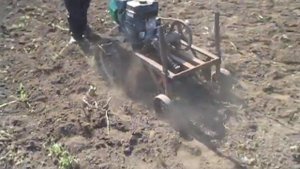 Копка картофеля мотоблоком Кайман 006