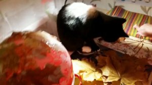 Как сделать вазу из осенних листьев, поделка из  листьев