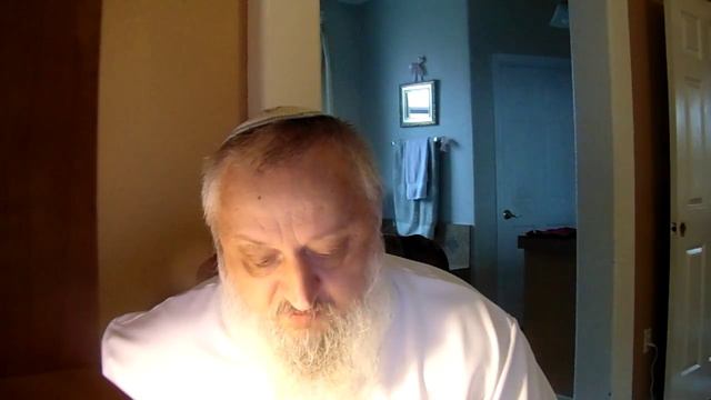 Ваера(Летящие ветви)учение Ребе хасидизма смотреть онлайн