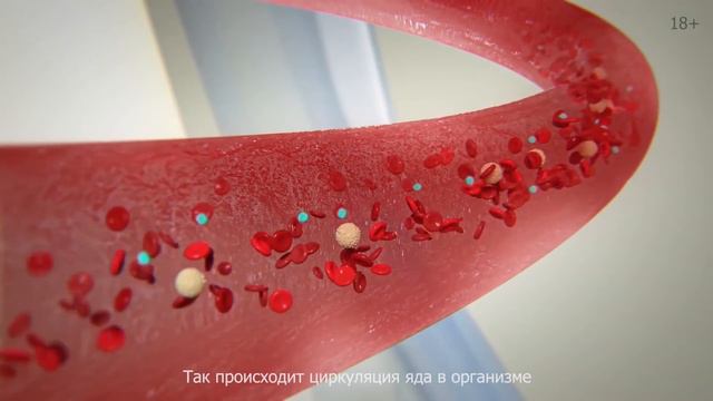 Полисорб - и утро будет добрым