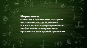 Урок 3. Клональное микроразмножение_испр.