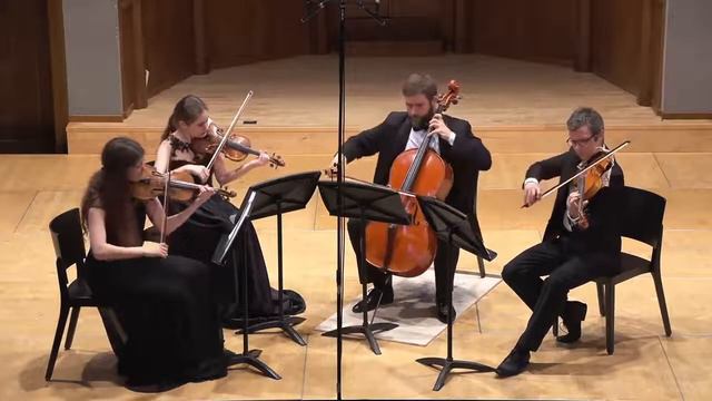 Concert for Peace · Myroslav Skoryk «Melody» · New Odessa String Quartet смотреть онлайн