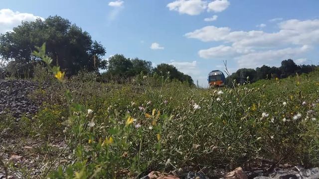 ДР1Б на перегоне Волотова-Клёнки БЧ Гомель смотреть онлайн