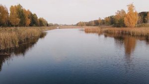 Перед рыбалкой кладу эту траву в червей. собираю рыбу в одной точке. Проверенный годами способ