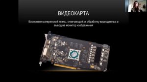 Монитор и видеокарта: назначение