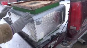 Вариант улика для зимовки на воле и в зимовнике.Пчеловодство в Канаде-нанотехнологии женской пасеки